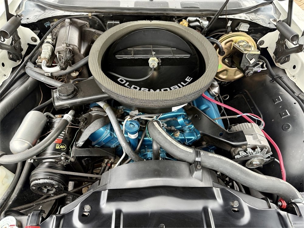 8393ed56-185f-44f5-be52-feb628236a92_largesize